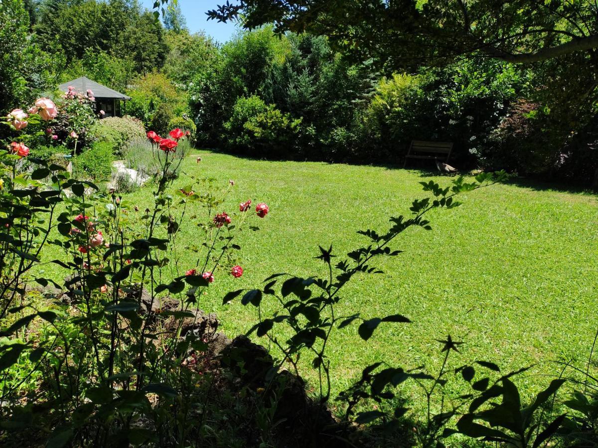 Complejo Cabanas Petalos Villarrica Bagian luar foto