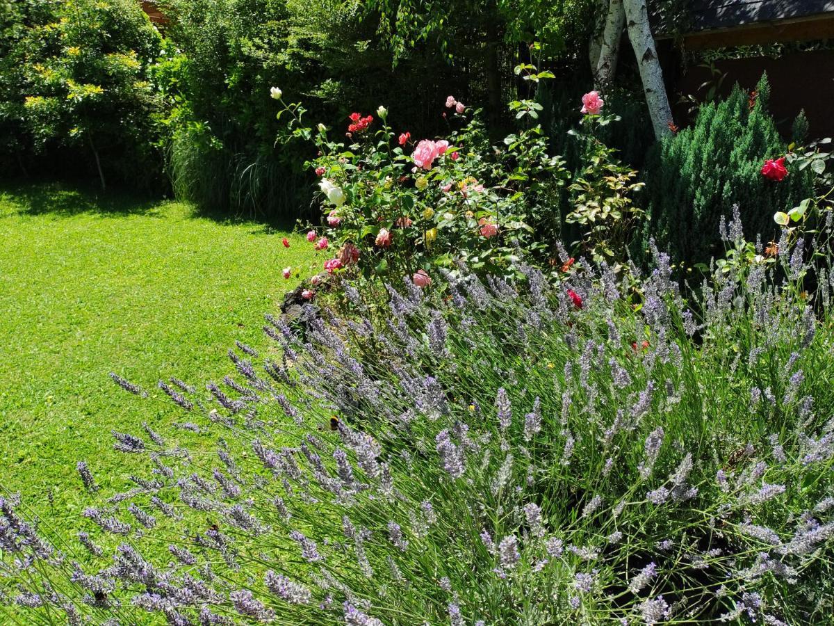 Complejo Cabanas Petalos Villarrica Bagian luar foto
