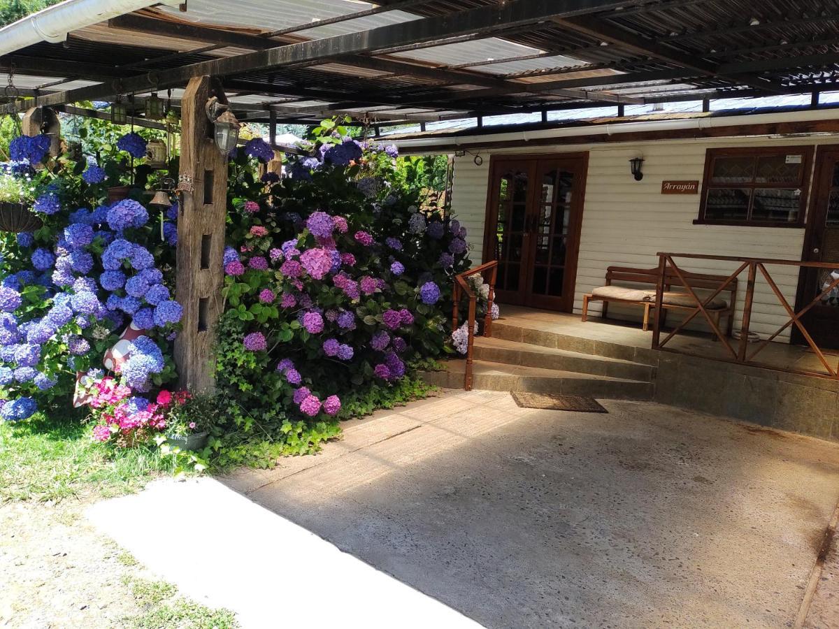 Complejo Cabanas Petalos Villarrica Bagian luar foto