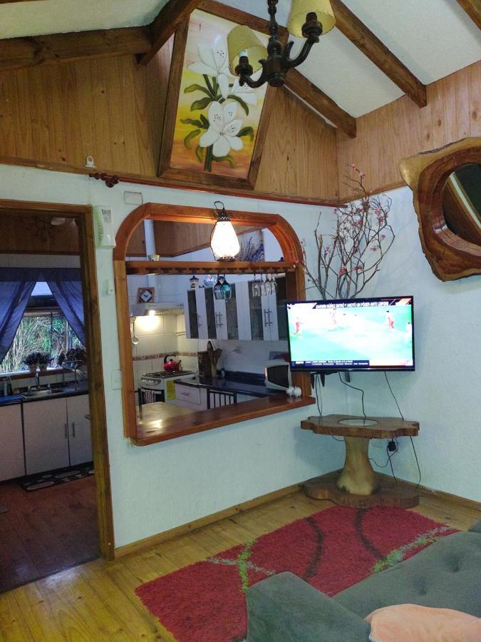 Complejo Cabanas Petalos Villarrica Bagian luar foto