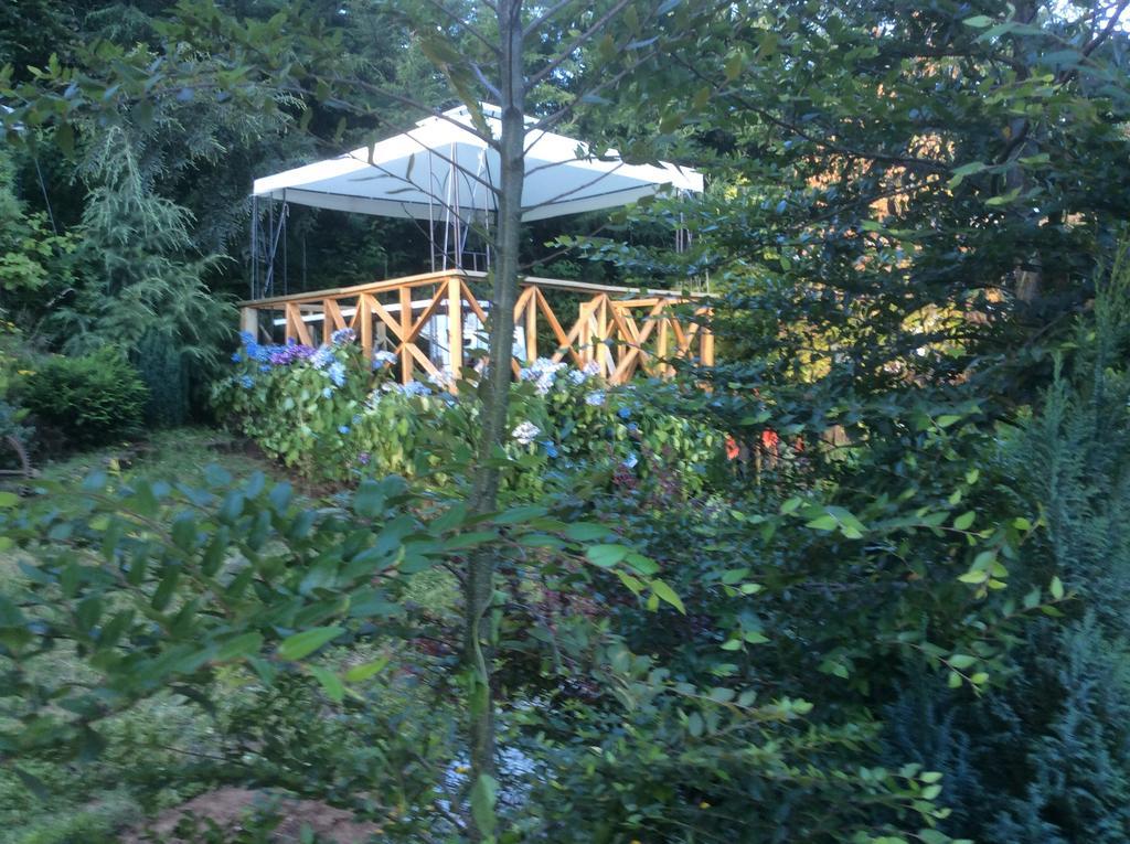Complejo Cabanas Petalos Villarrica Bagian luar foto