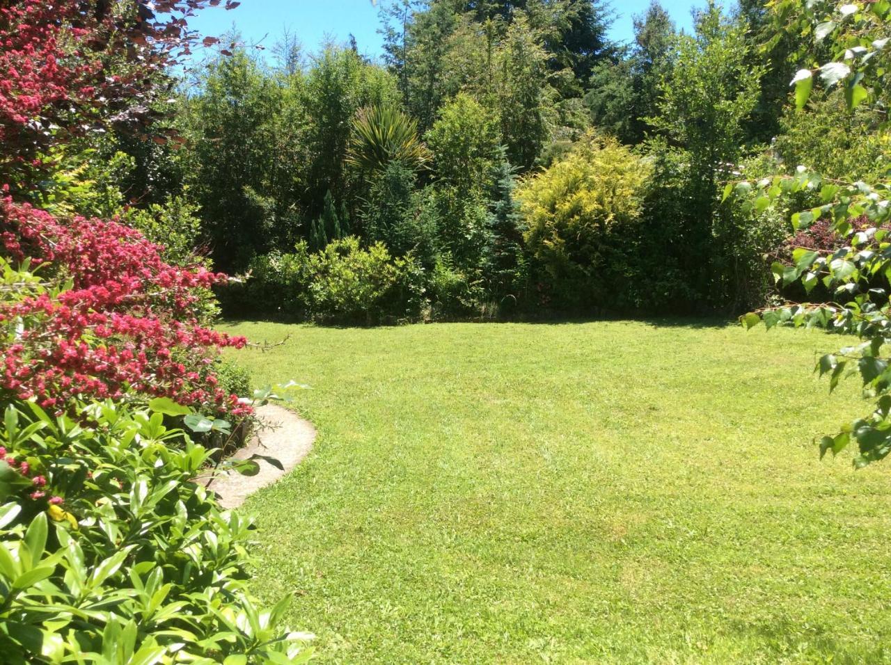 Complejo Cabanas Petalos Villarrica Bagian luar foto