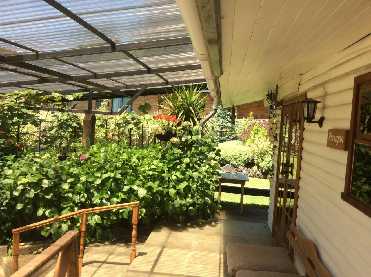Complejo Cabanas Petalos Villarrica Bagian luar foto