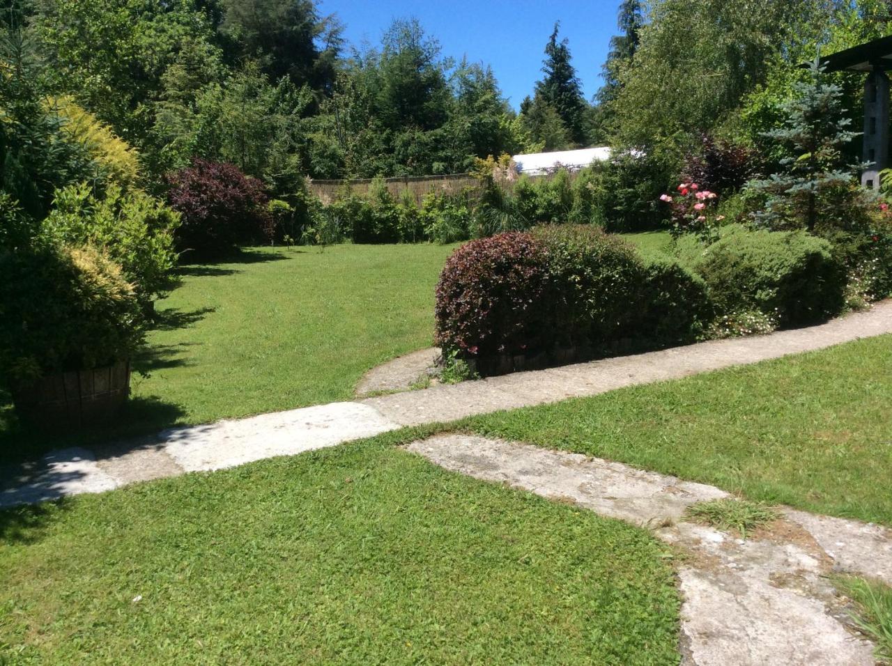 Complejo Cabanas Petalos Villarrica Bagian luar foto